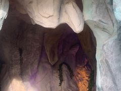 -太白山御龙湾温泉