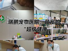 -瑞鹏宠物医院·爱宠堂·骨外专科(西荷分院)