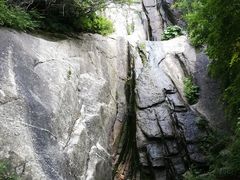 -王顺山国家森林公园