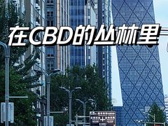 -中央广播电视总台(光华路办公区)