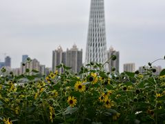 -二沙岛艺术公园