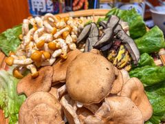 -阿山卓·野生菌火锅·纳西火塘烤肉