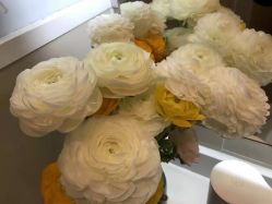 -摩睫+皮肤管理·科学美容中心