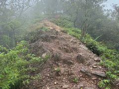 -羚羊峡古栈道森林公园