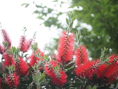 -桤木河湿地公园