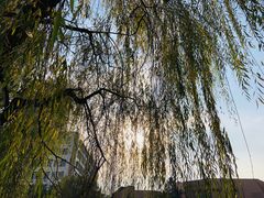 -西南交通大学(九里校区)