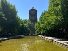 -玲珑塔公园