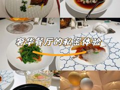 -西郊5号·Maggie 5