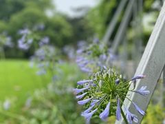 -上海滨江森林公园