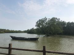 -大湾区中央湿地公园
