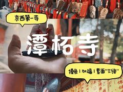 -潭柘寺景区