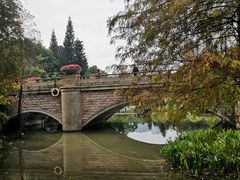 -云溪植物园