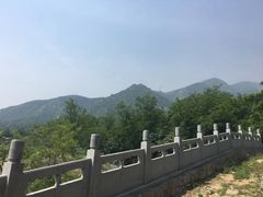 -阳台山自然风景区