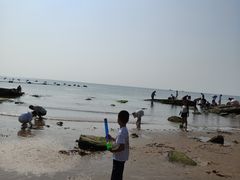 -老虎石海上公园