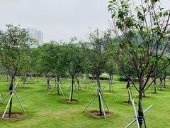 -龙环葡韵住宅式博物馆