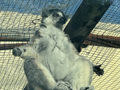 -青藏高原野生动物园