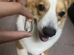 -芭比堂动物医院广州顽皮分院