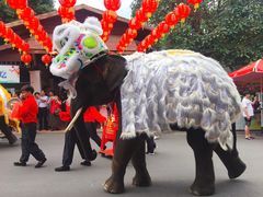 -东芭乐园