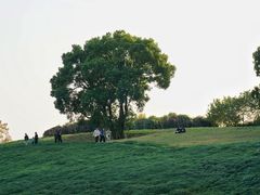-良渚古城遗址公园