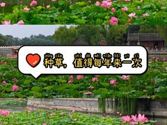 -北海公园