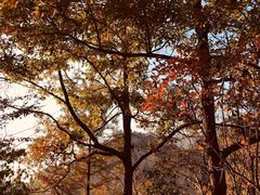 -汉中石门栈道风景区