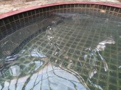 -龙达温泉生态城