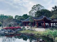-顺峰山公园
