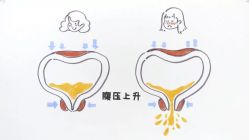-邢台妇产医院