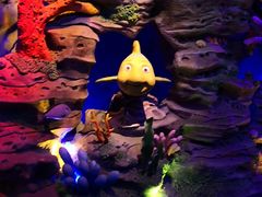 -青岛嘉年华主题乐园