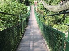 -太鲁阁公园