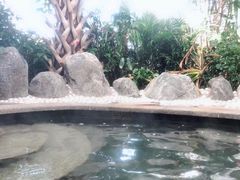 -悦隆庄温泉度假酒店