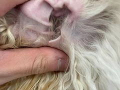 -comecome来吧宠物(奥克斯中心店)