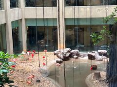 -麒麟中餐厅·经典粤菜·地道菜式老字号(广州长隆酒店)