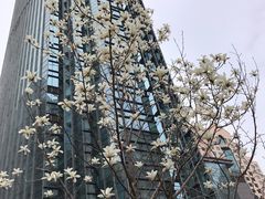 -青岛五四广场海景美仑国际公寓酒店