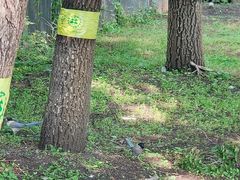 -黑龙江中医药大学