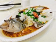 香葱芙蓉蒸鲈鱼-清心鸡沙田乳鸽店·非遗传承(石溪店)