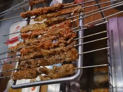 -邢氏老太太烤串(北兴街店)