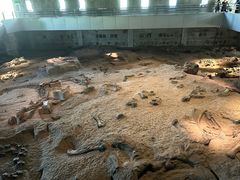 -自贡恐龙博物馆
