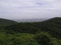 -南京老山国家森林公园
