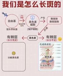 -克丽缇娜