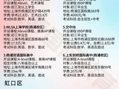 -菠萝国际教育专注Alevel·IGCSE·IB·AP·托福雅思培训辅导(静安校区)