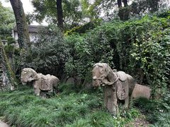 -宁波市保国寺古建筑博物馆