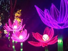-淄博花灯齐彩城