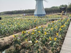 -武汉紫薇都市田园