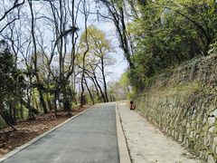 -大蜀山国家森林公园