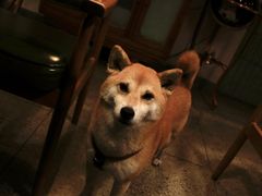 -GOIN CAFE 光阴咖啡馆