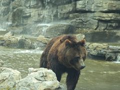 -北京野生动物园