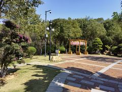 -八仙山公园