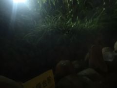 -嘉和K6温泉微度假