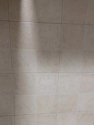 -Zoolung Zoolung动物主题公园(海信广场店)